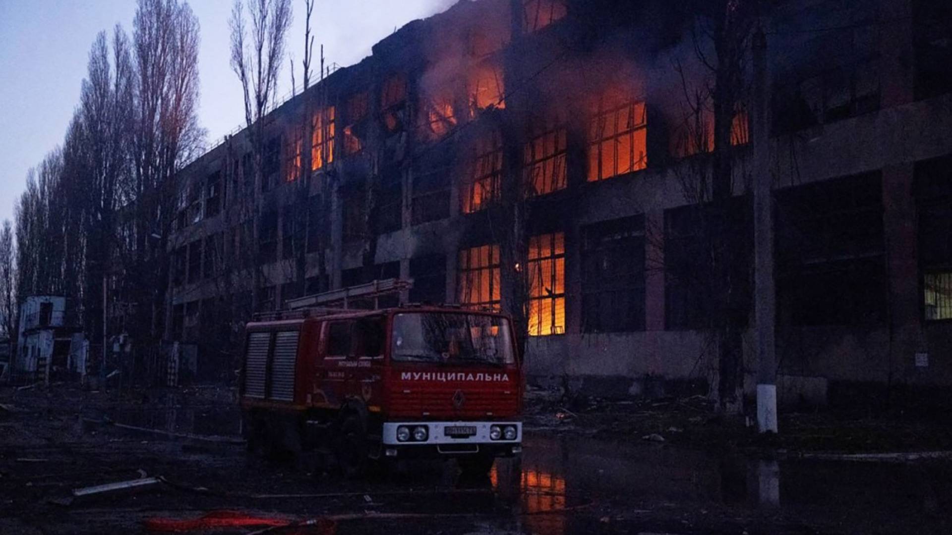 Image 1 from gallery