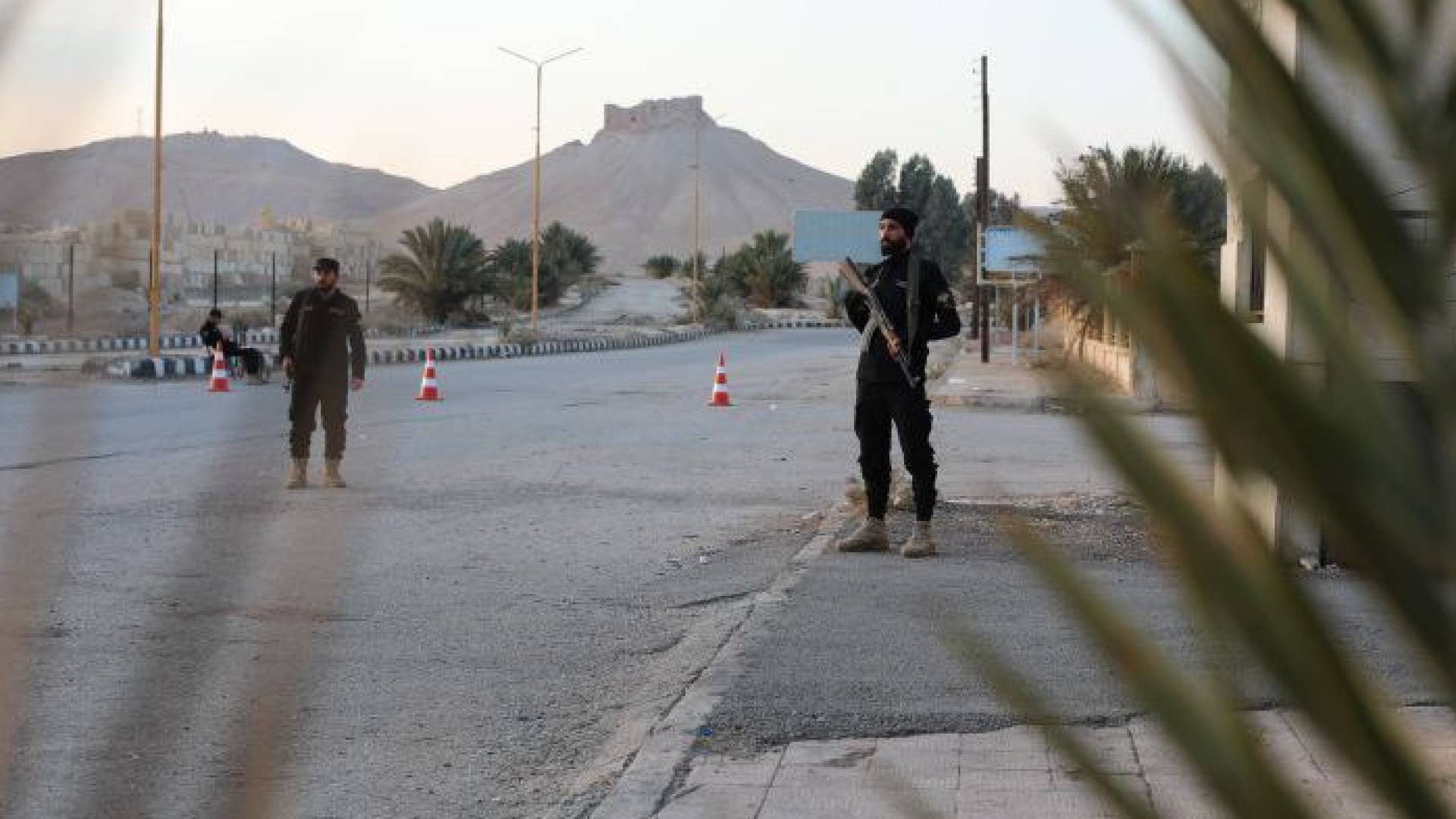 Image 5 from gallery