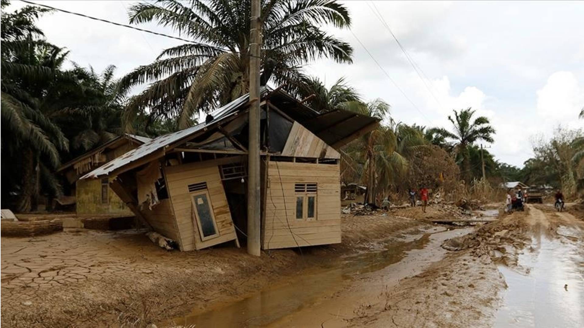 Image 1 from gallery