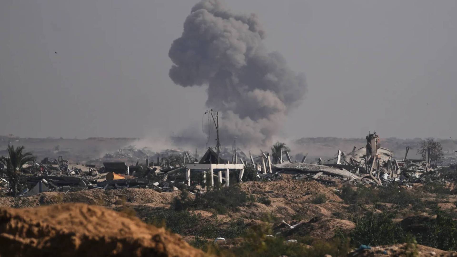 Image 1 from gallery