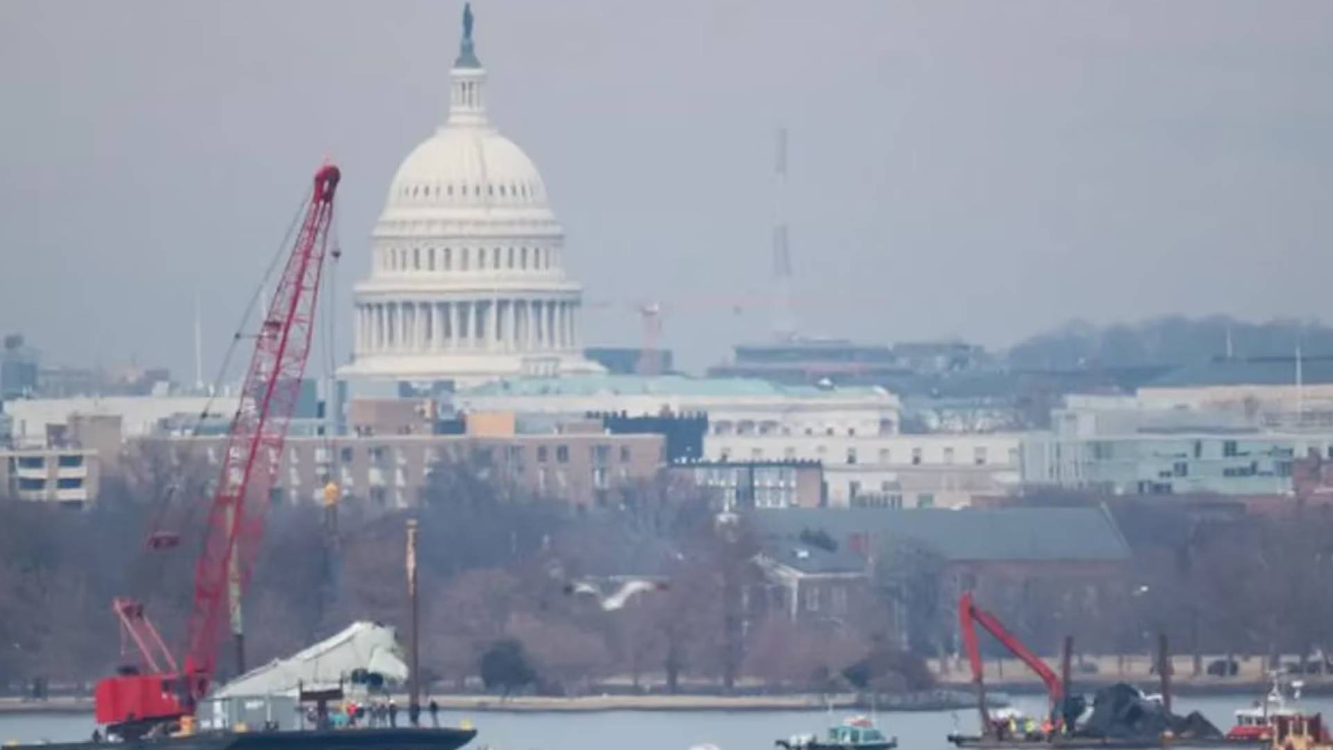 Image 1 from gallery