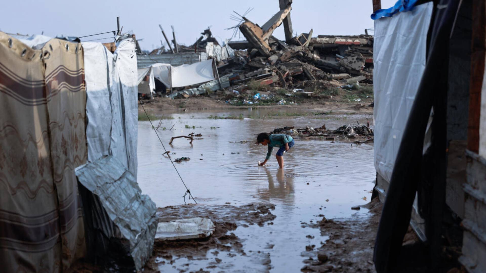 Image 1 from gallery