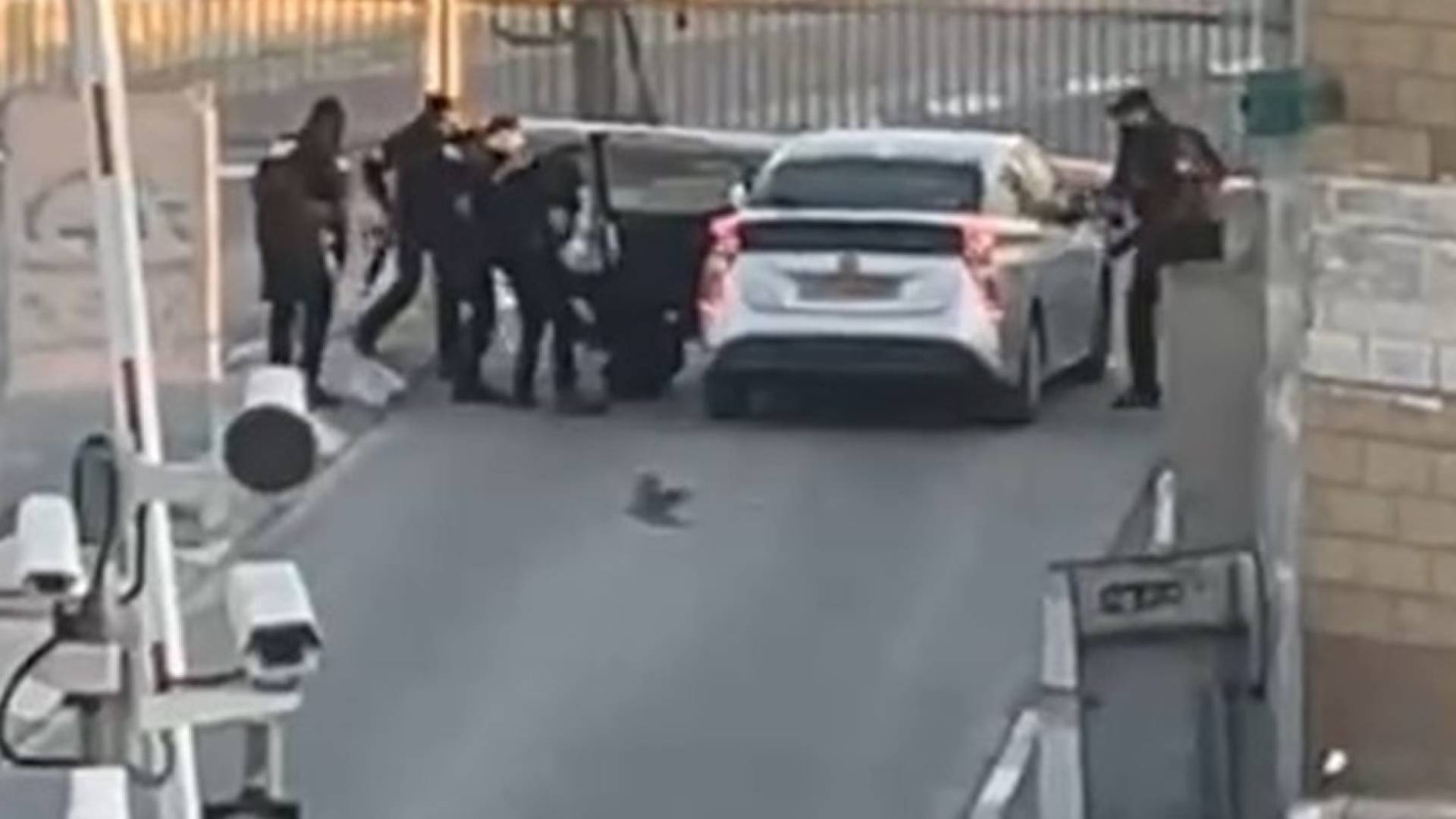 Image 1 from gallery