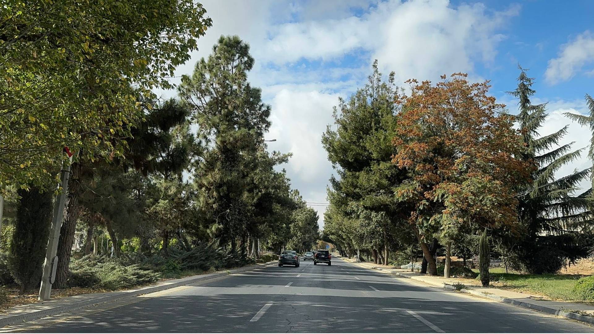 Image 1 from gallery