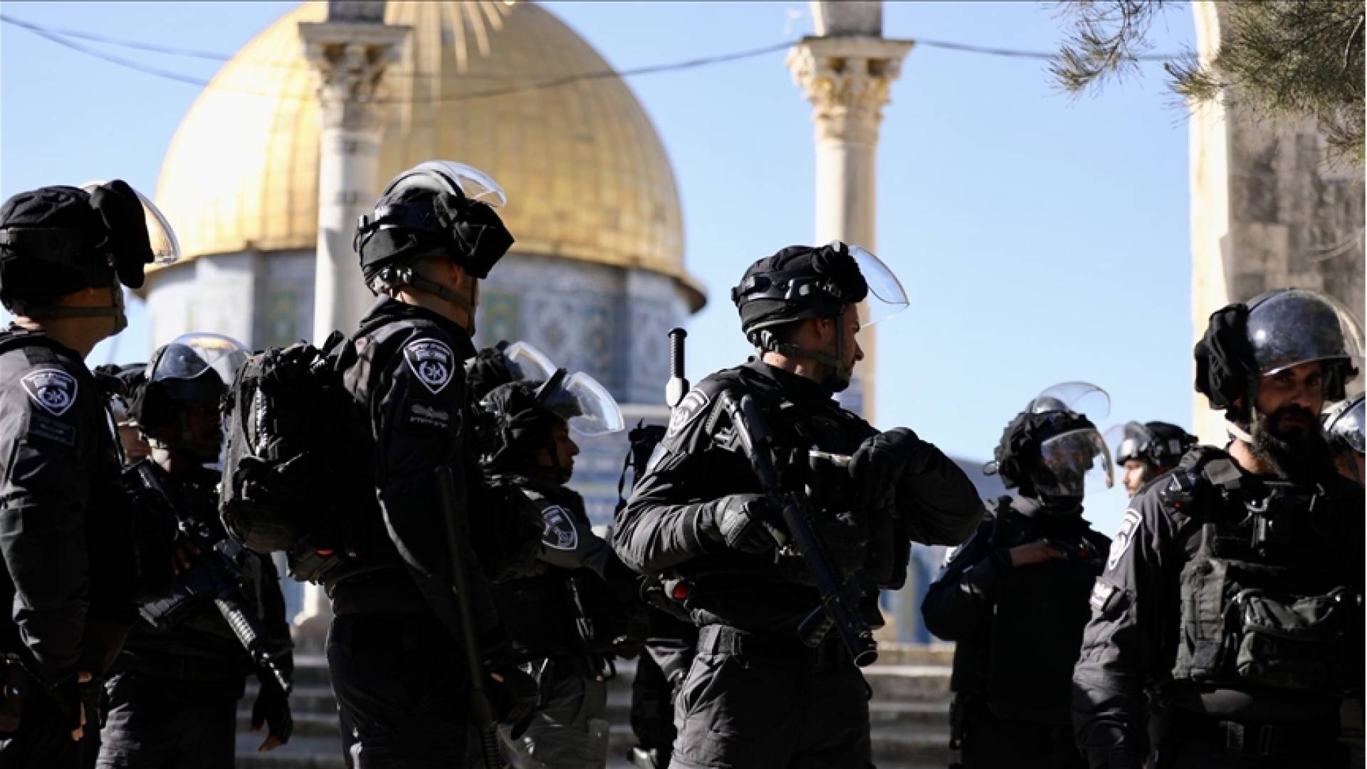 Image 1 from gallery