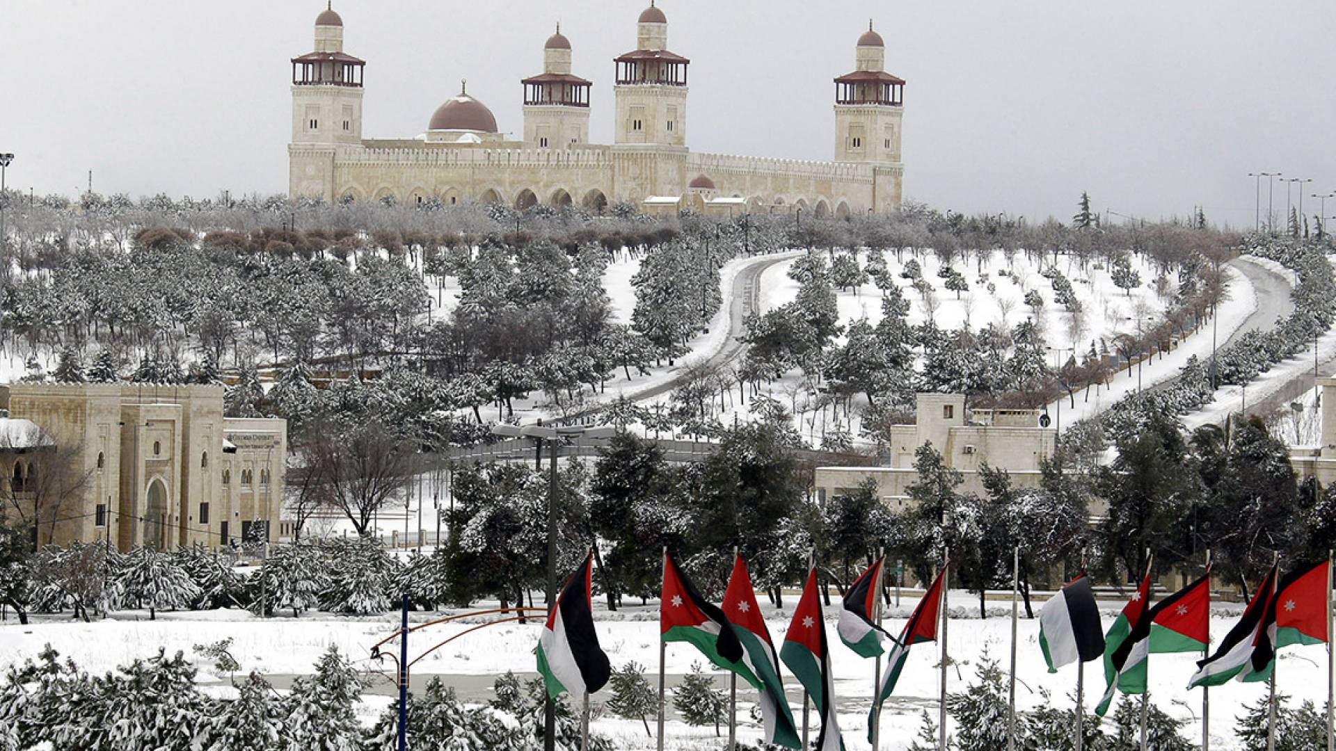 Image 1 from gallery