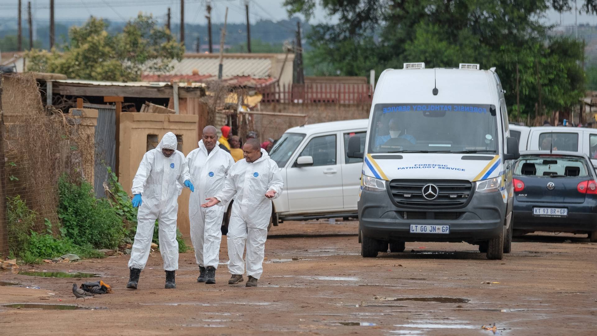 Image 1 from gallery