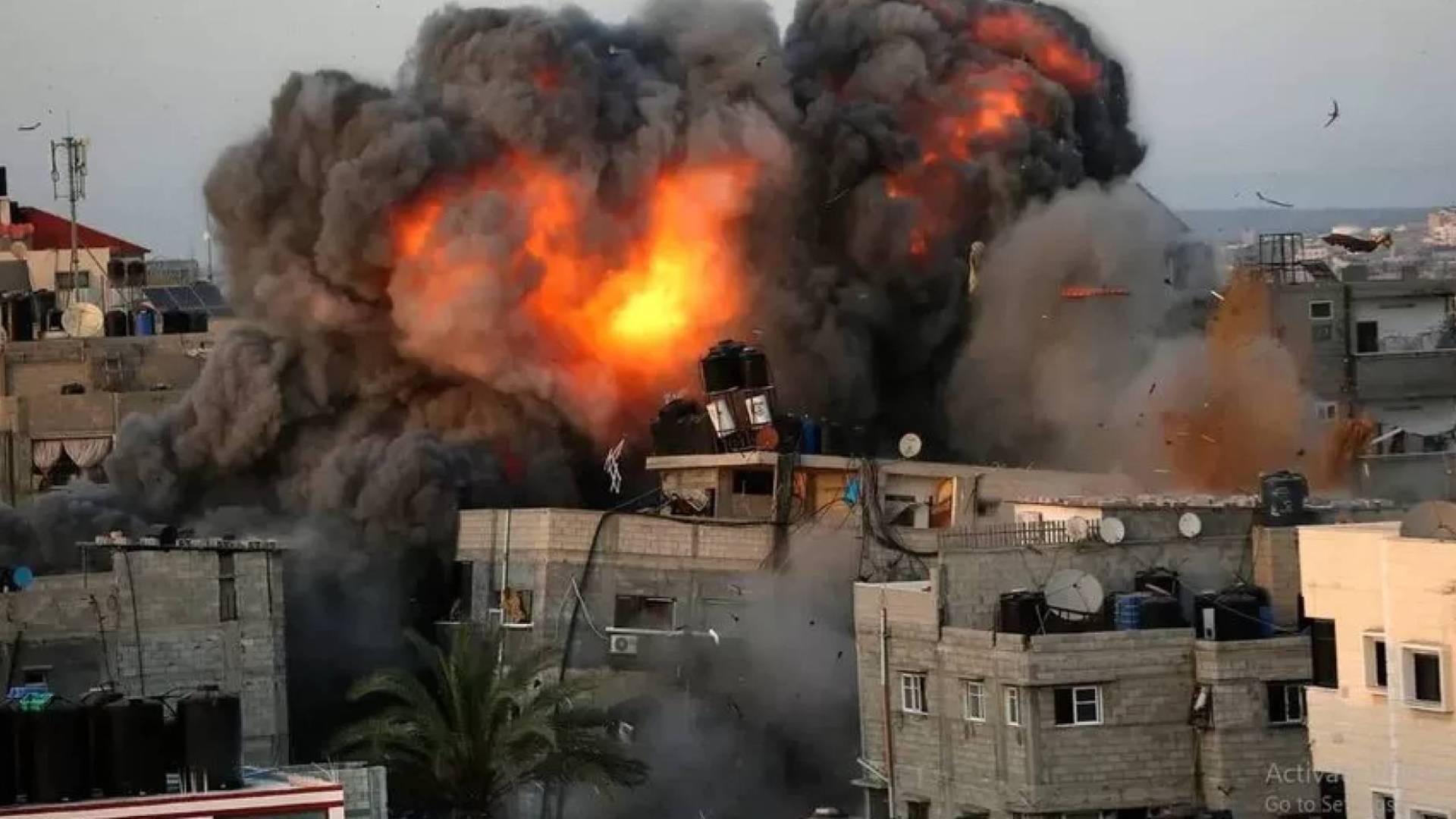 Image 1 from gallery