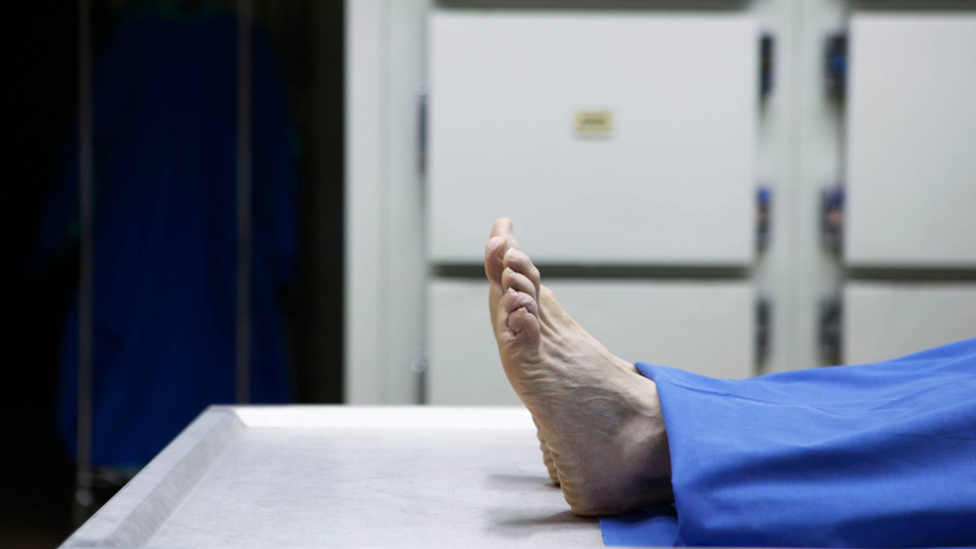 Image 1 from gallery