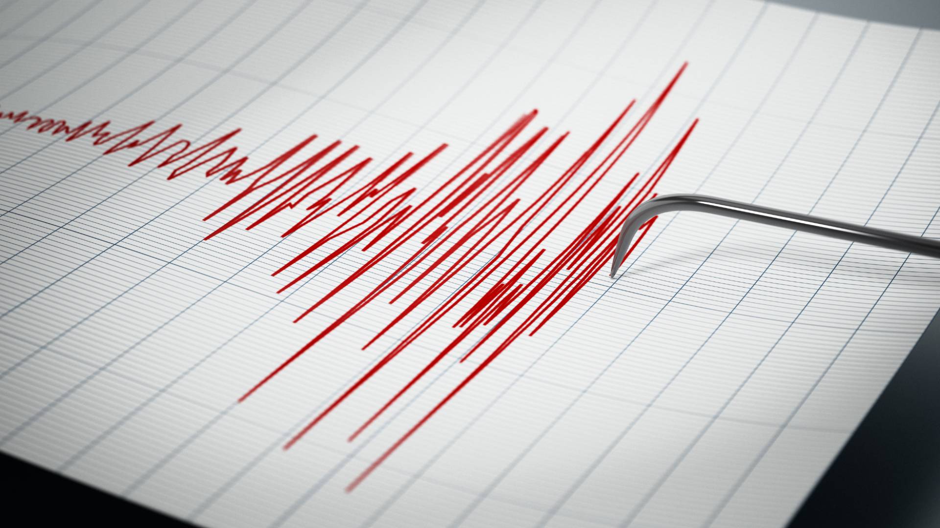 Image 1 from gallery