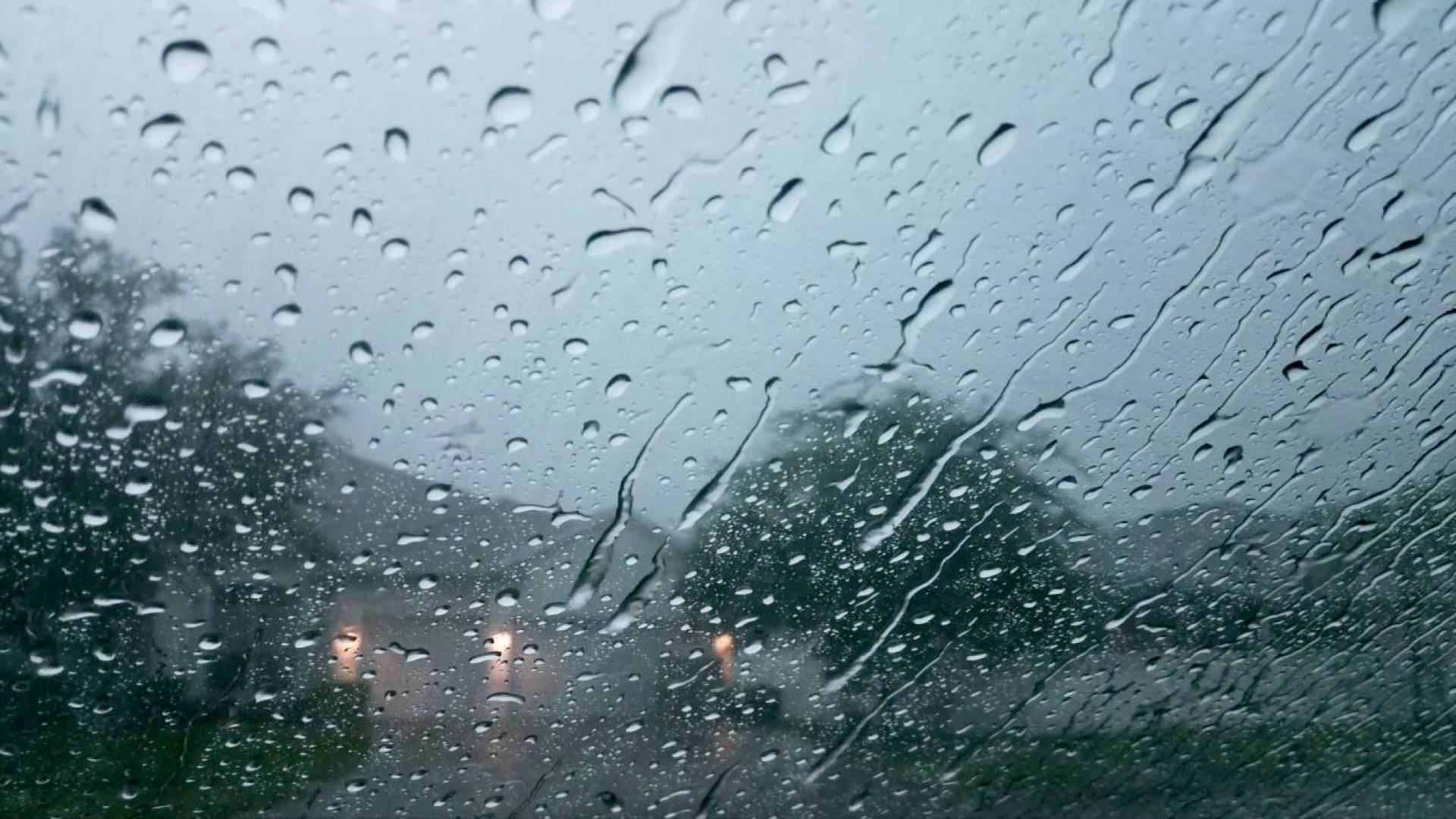 Image 1 from gallery