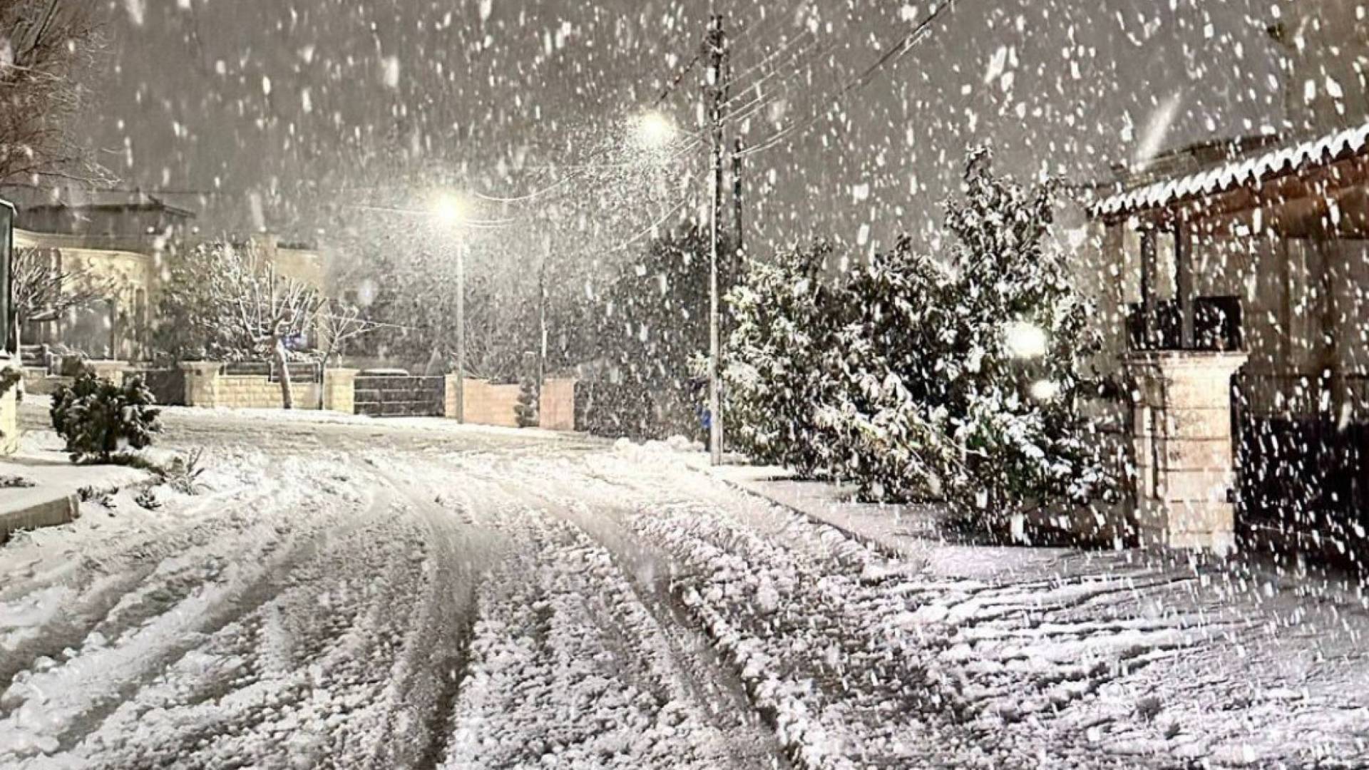 Image 1 from gallery