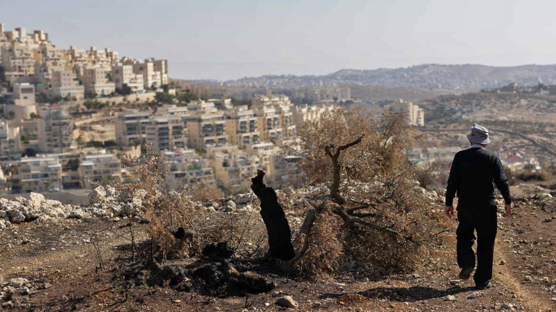 Image 1 from gallery