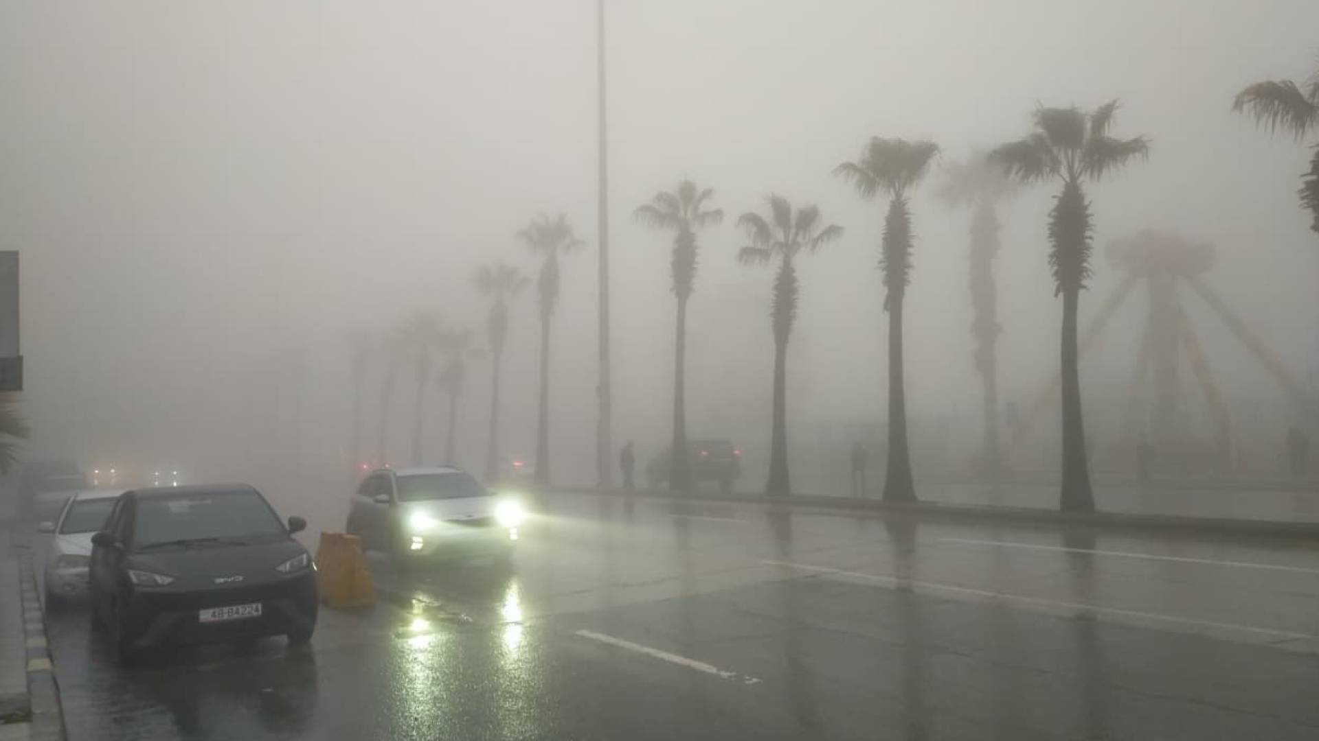 Image 1 from gallery