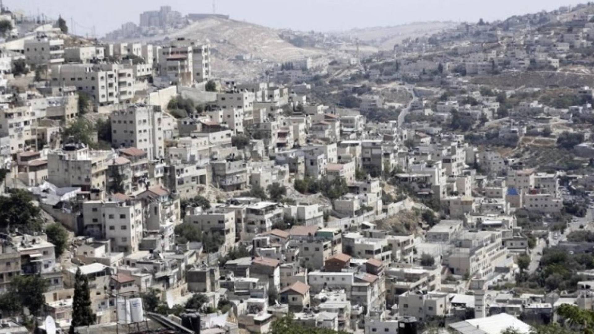 Image 1 from gallery