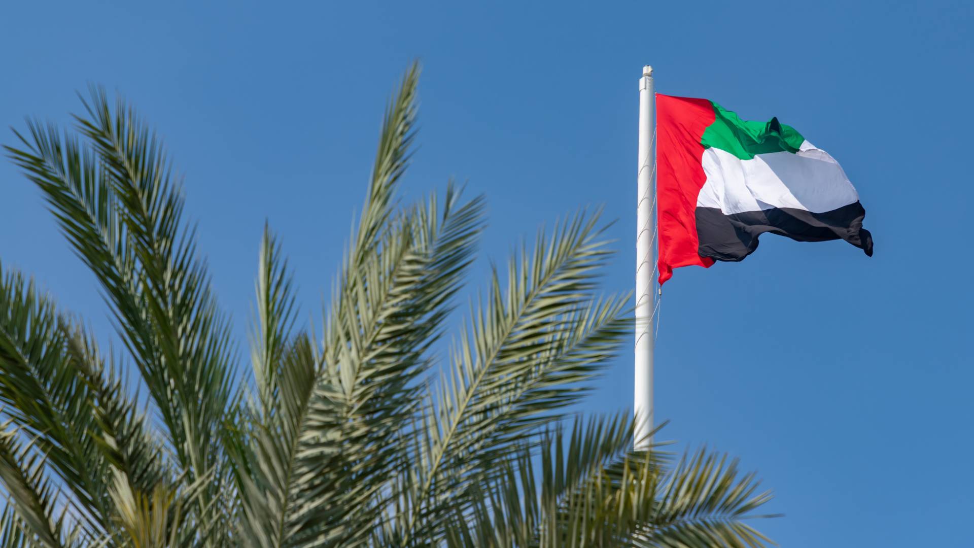 Image 1 from gallery