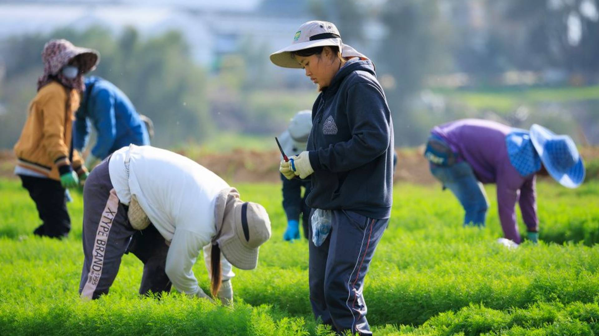 Image 1 from gallery