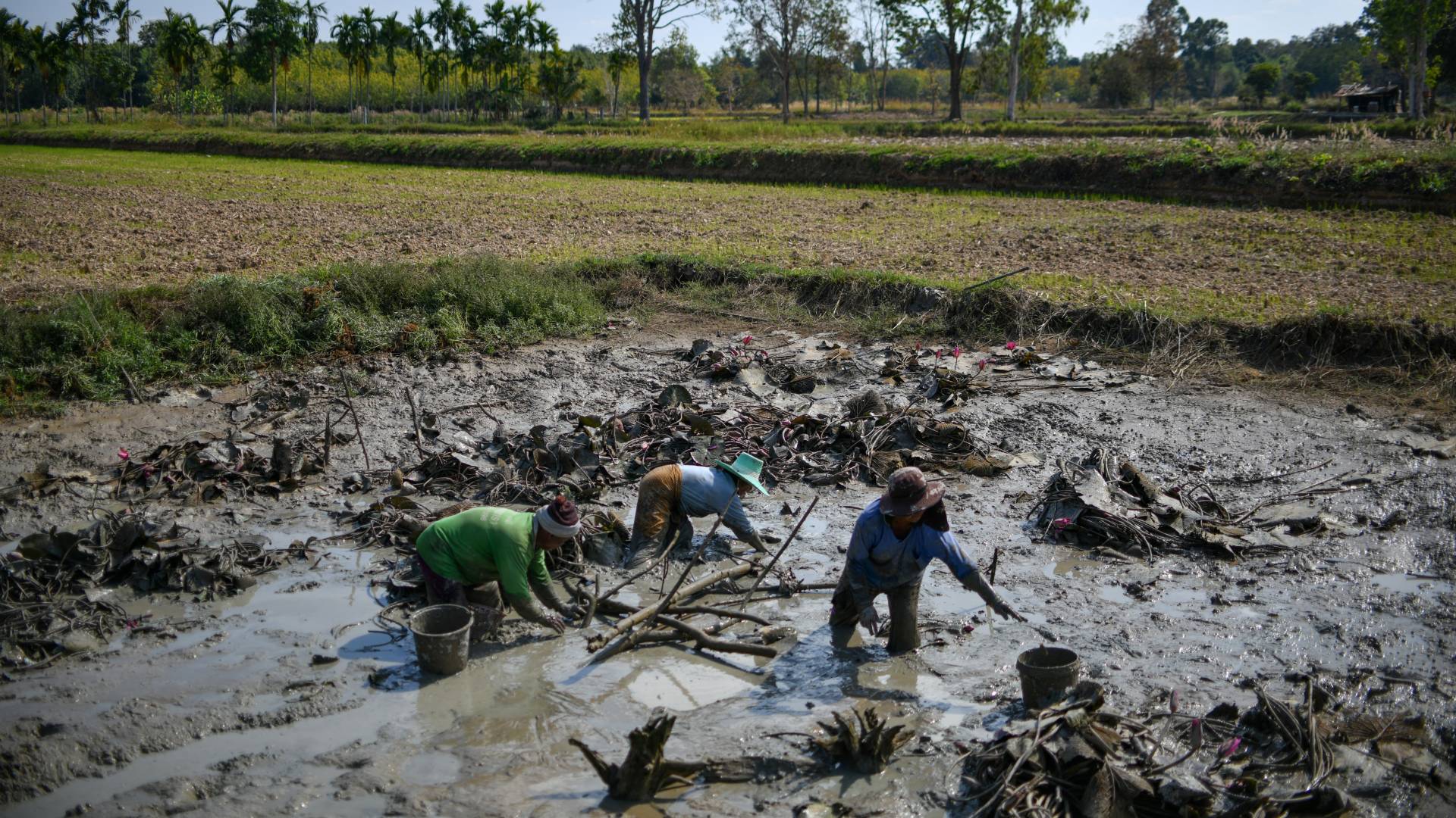 Image 1 from gallery