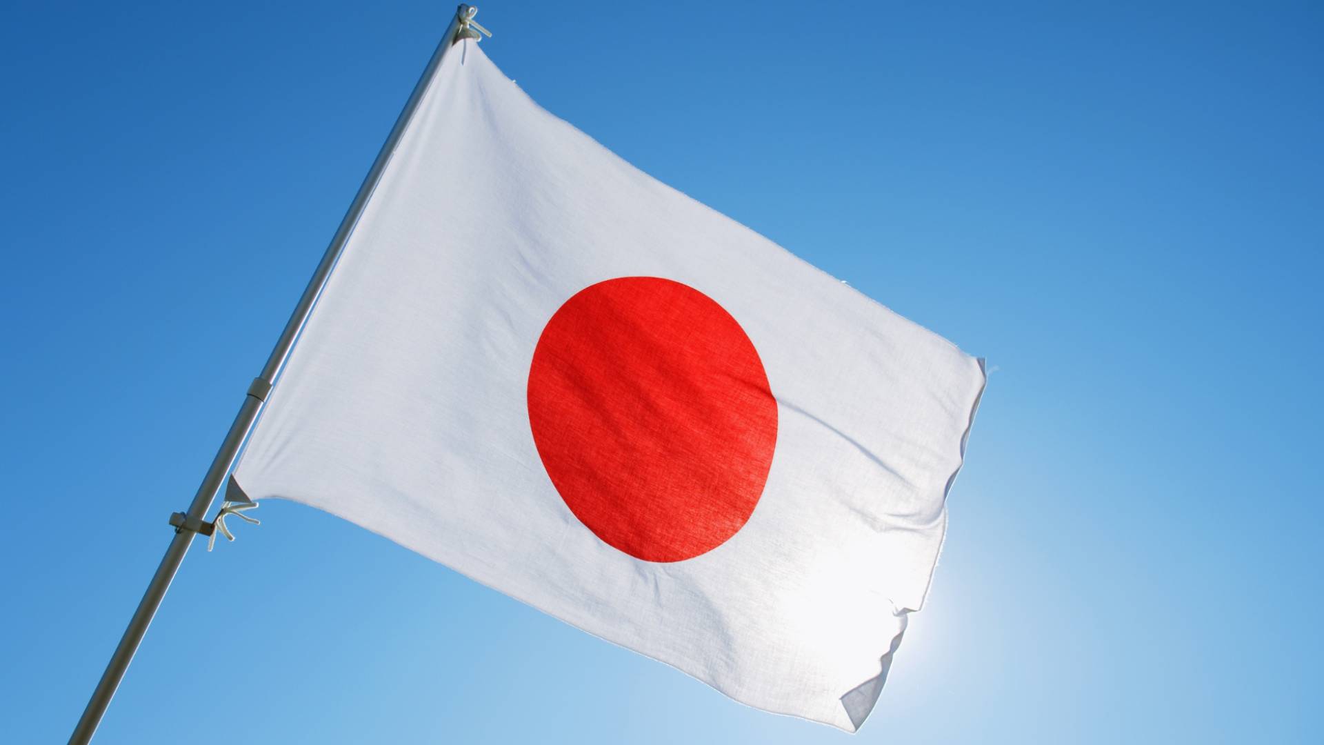 Image 1 from gallery