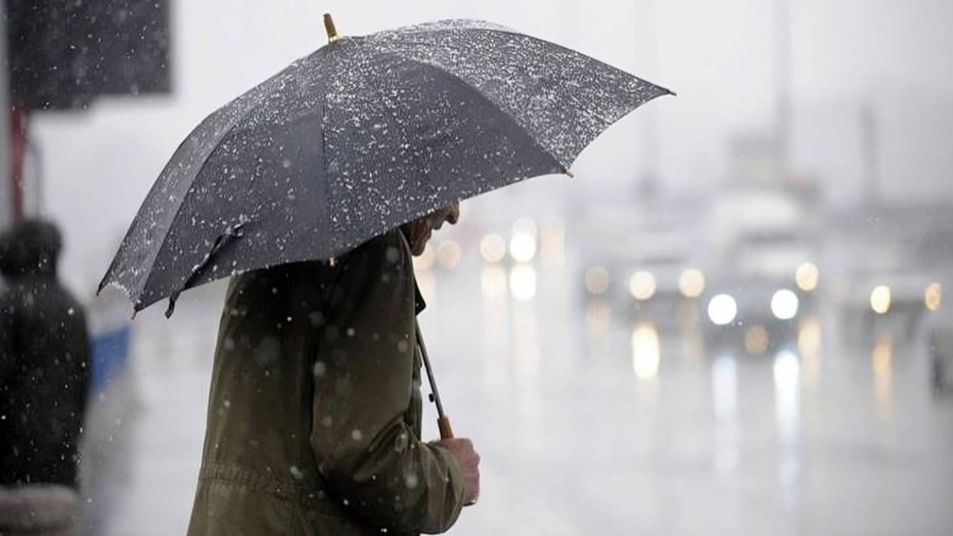 Image 1 from gallery