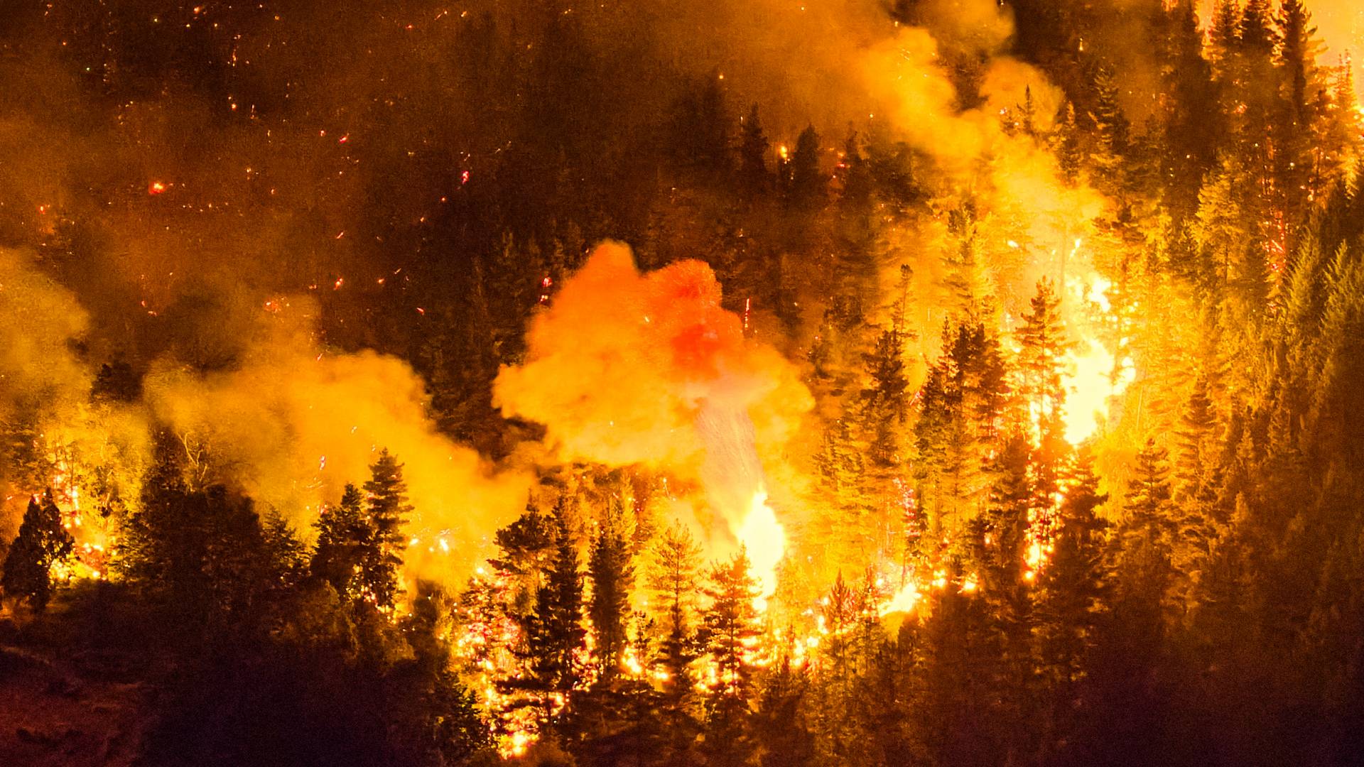 Image 1 from gallery