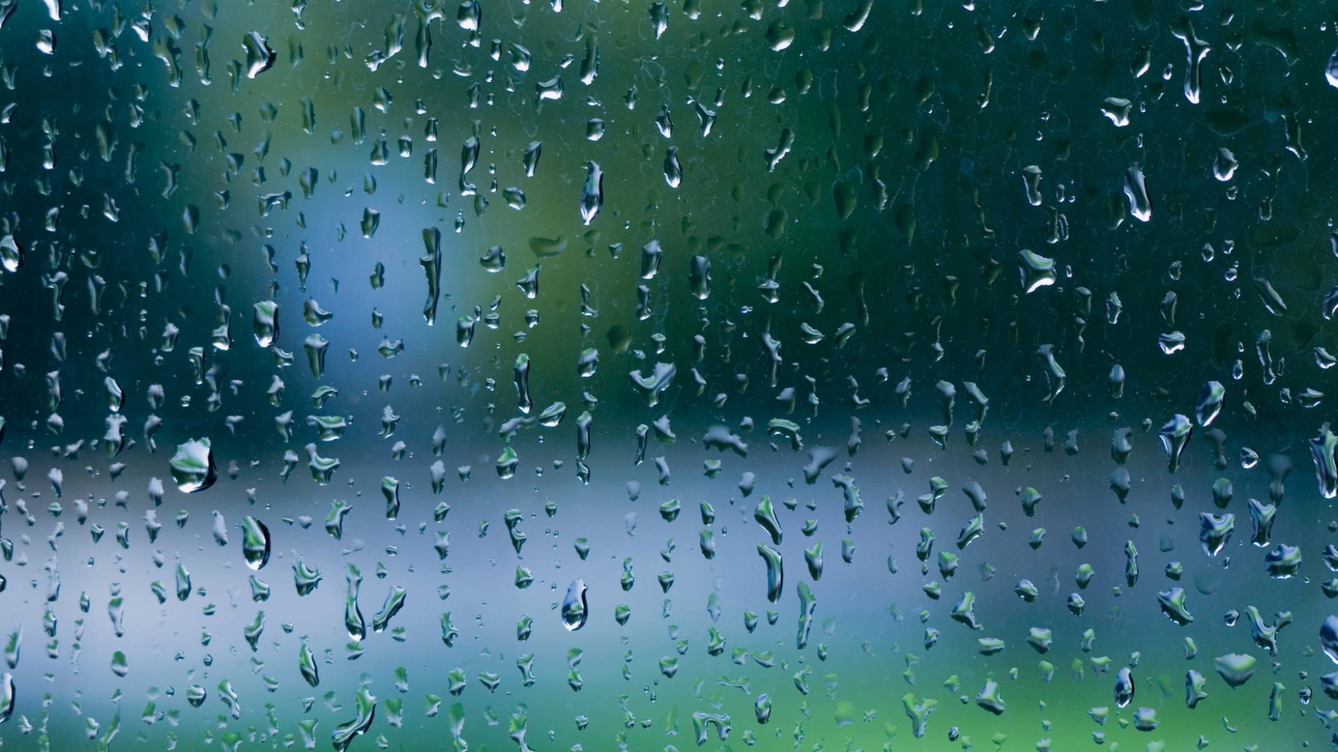 Image 1 from gallery