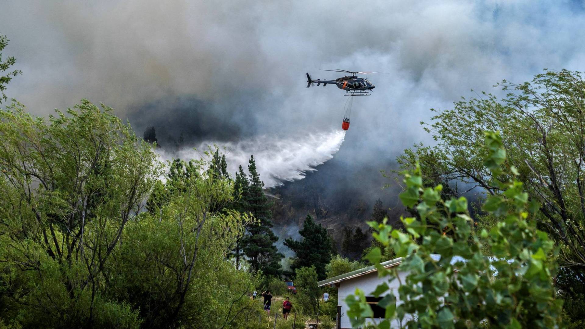 Image 1 from gallery