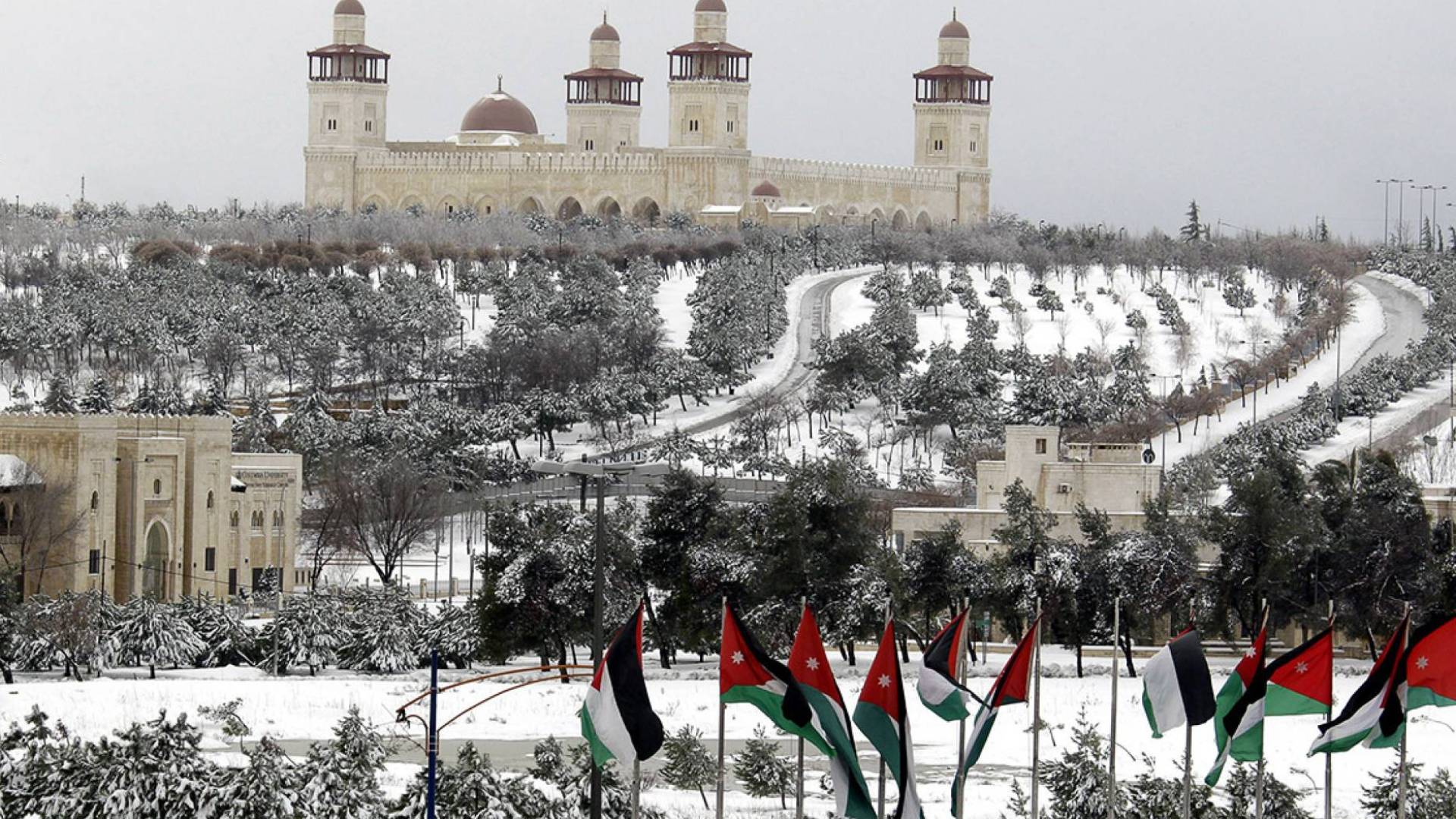 Image 1 from gallery