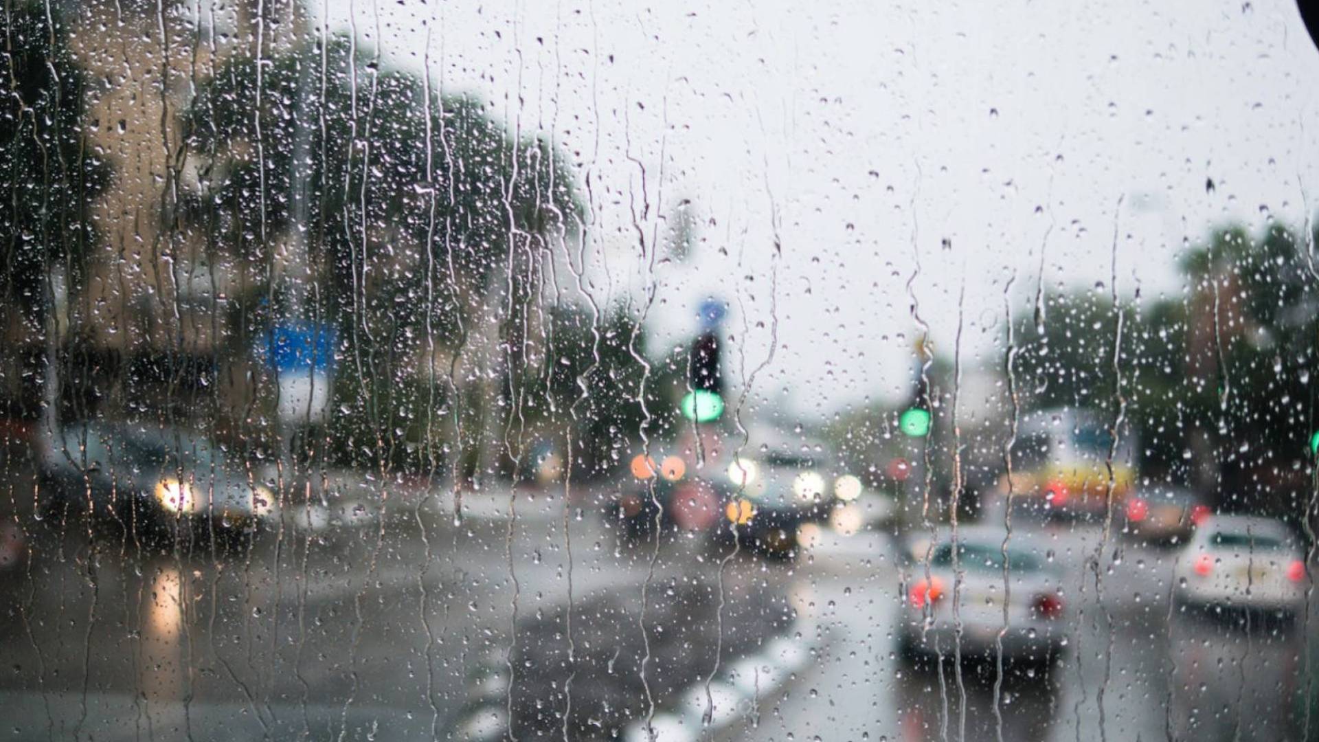 Image 1 from gallery