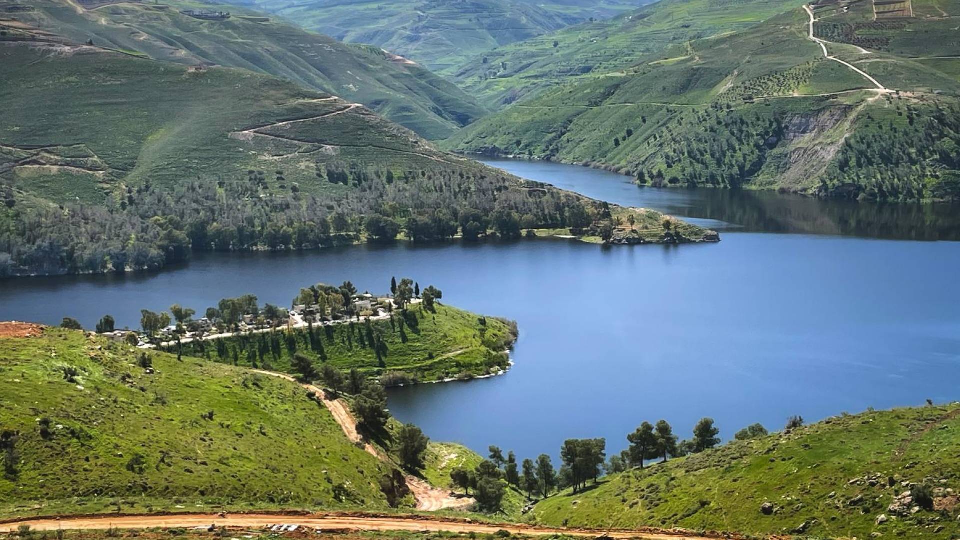 Image 1 from gallery