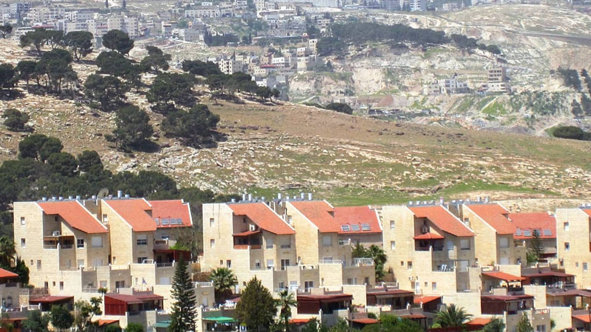 Image 1 from gallery