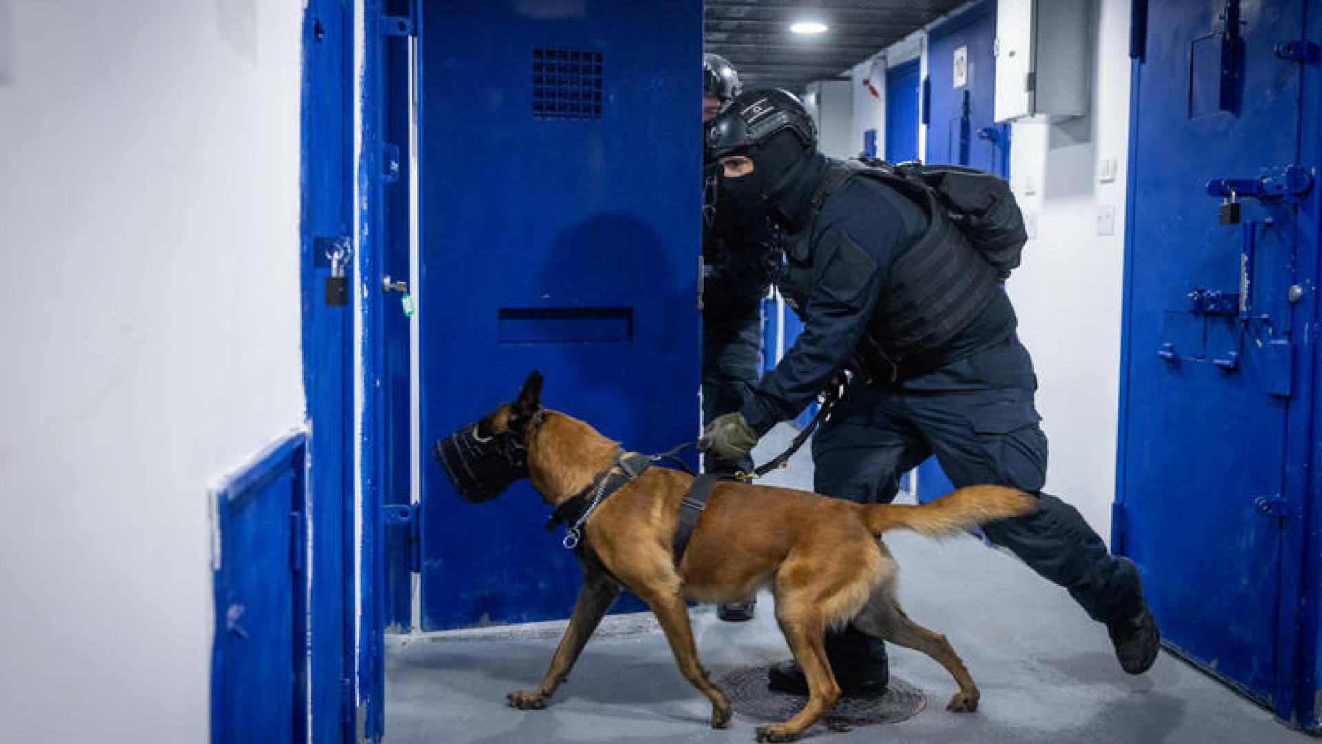 Image 1 from gallery