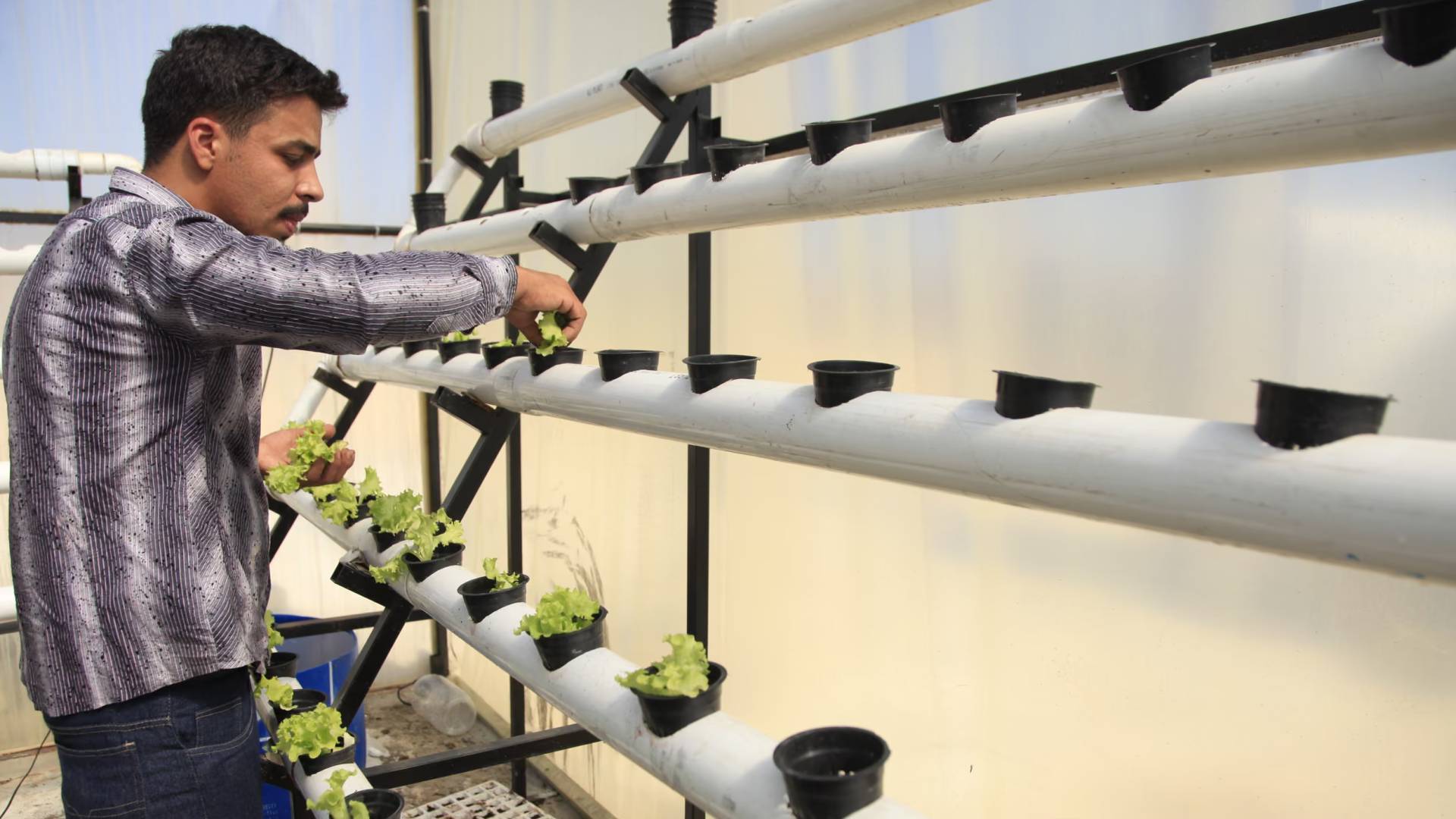 Image 1 from gallery