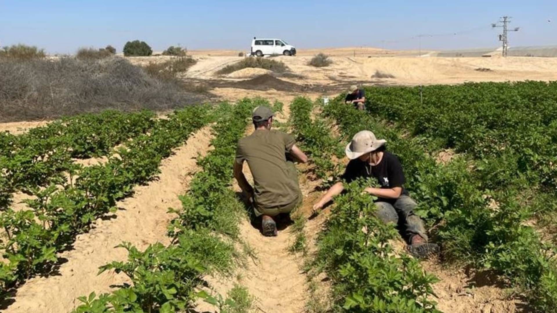 Image 1 from gallery