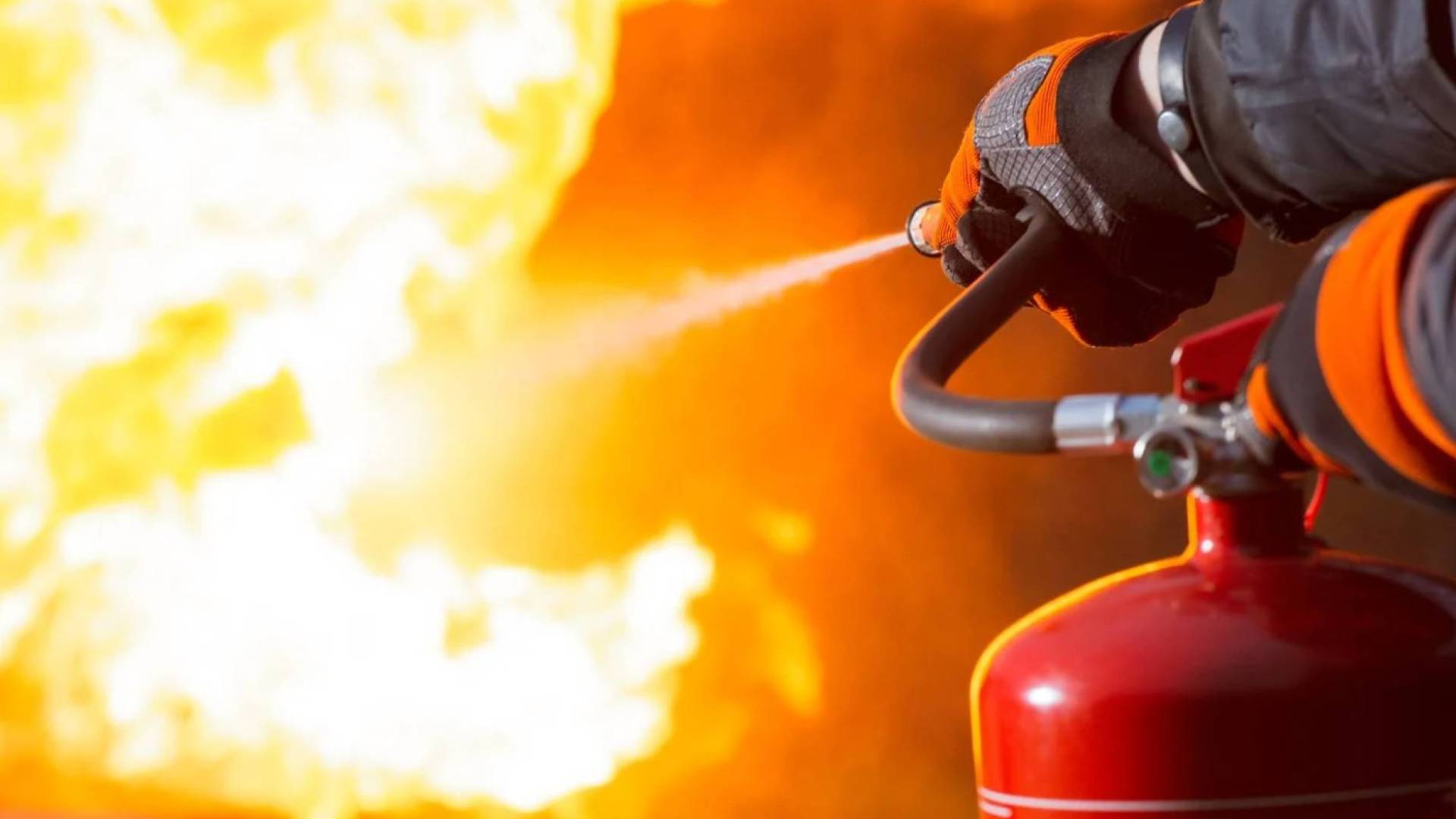 Image 1 from gallery