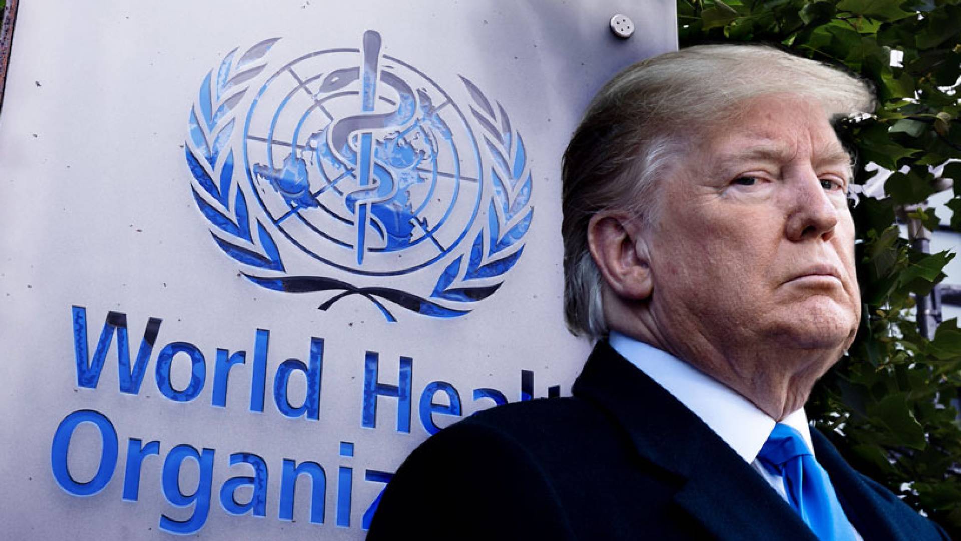 Image 1 from gallery