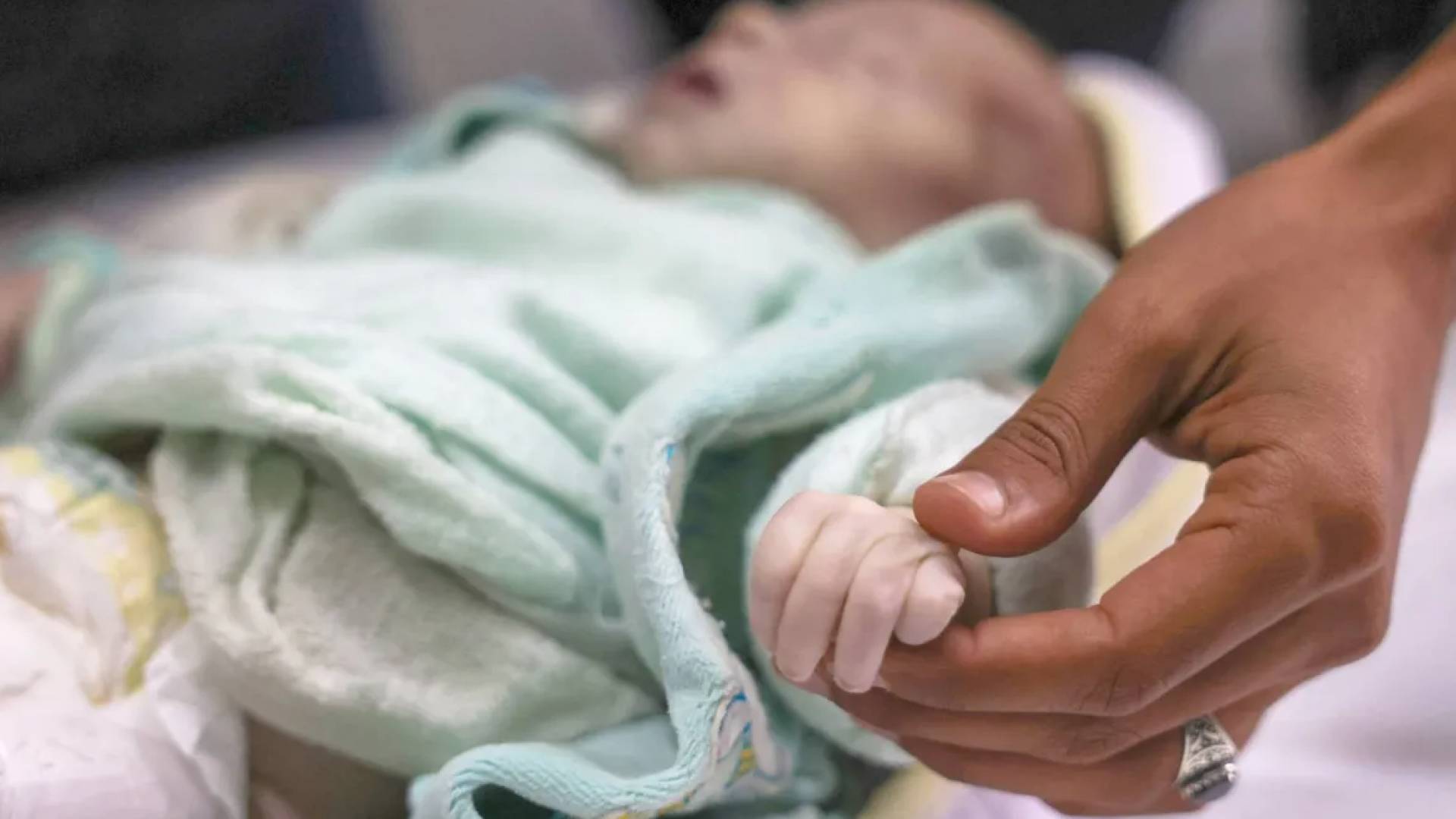 Image 1 from gallery