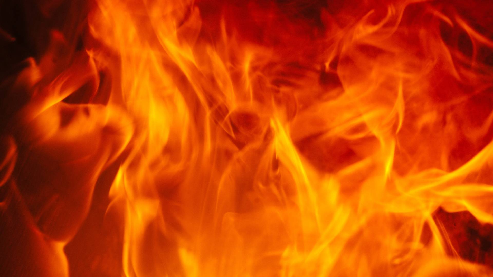 Image 1 from gallery