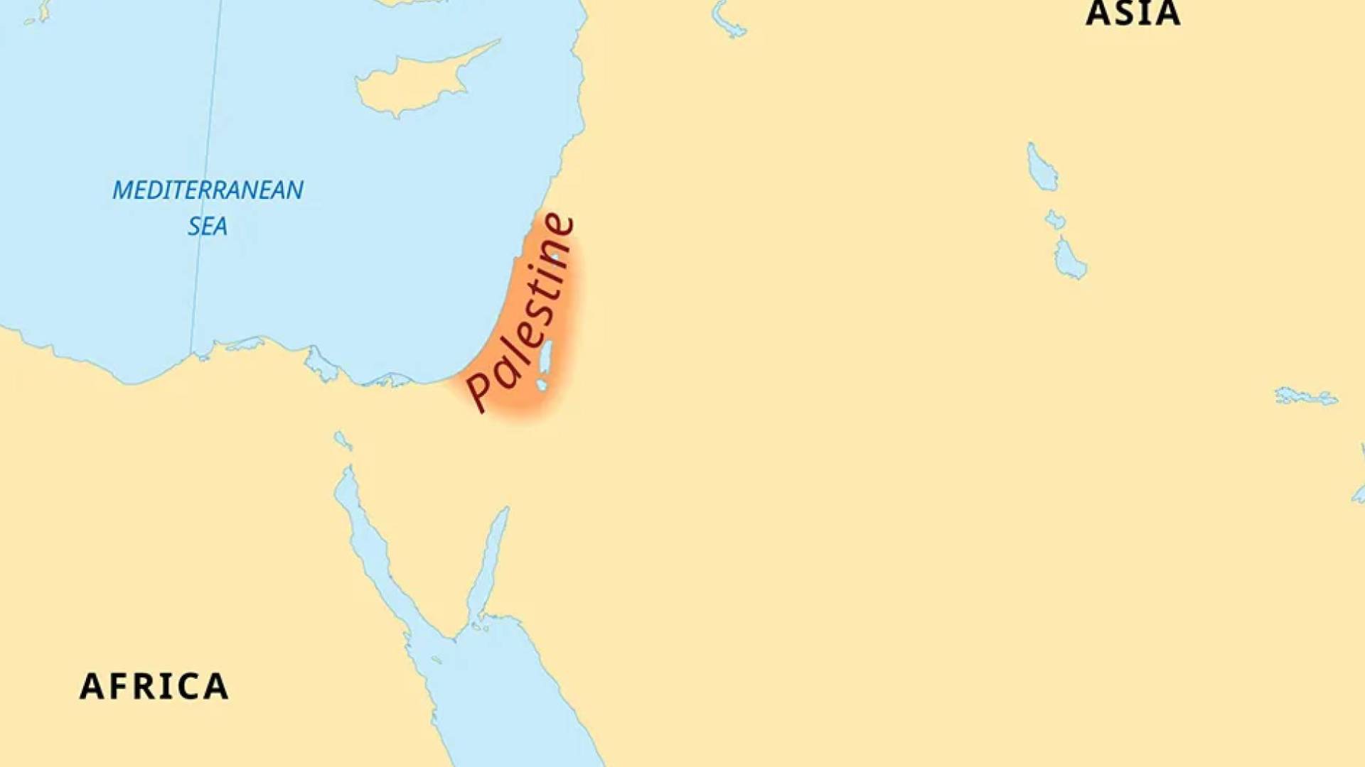 Image 1 from gallery