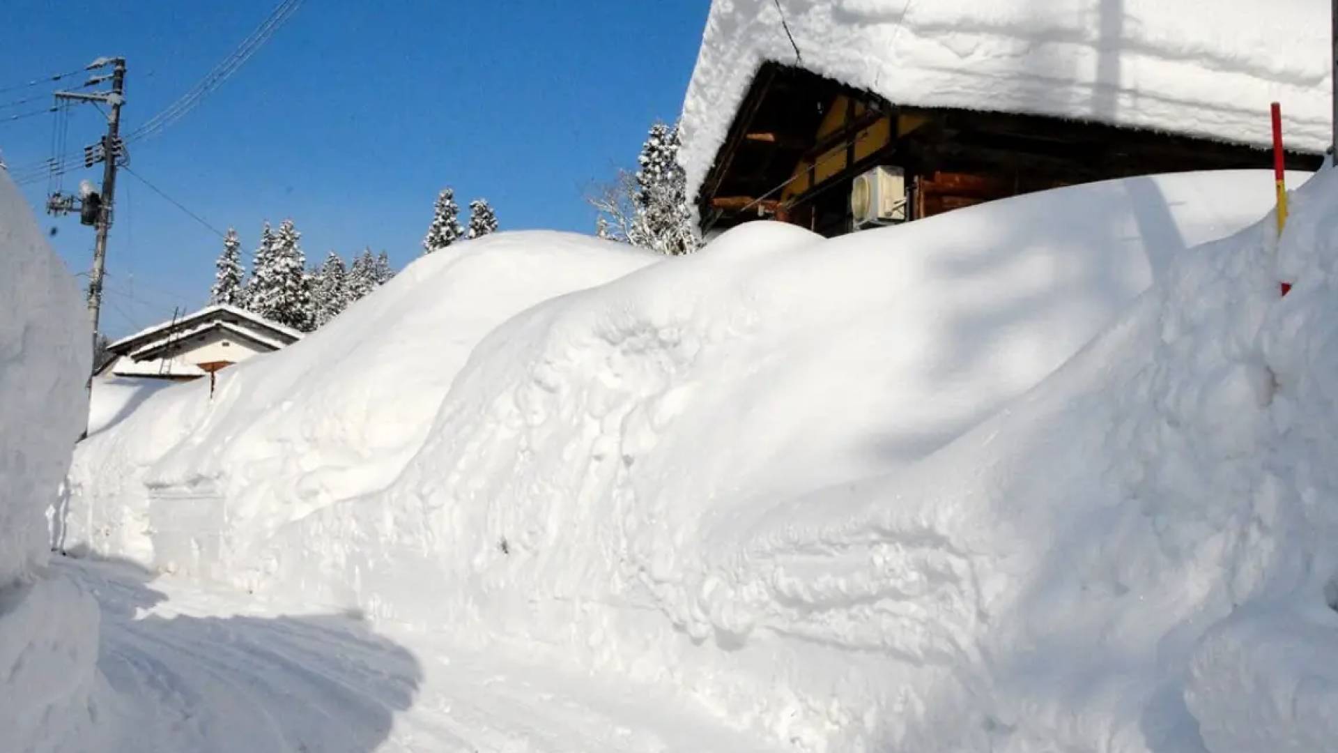 Image 1 from gallery