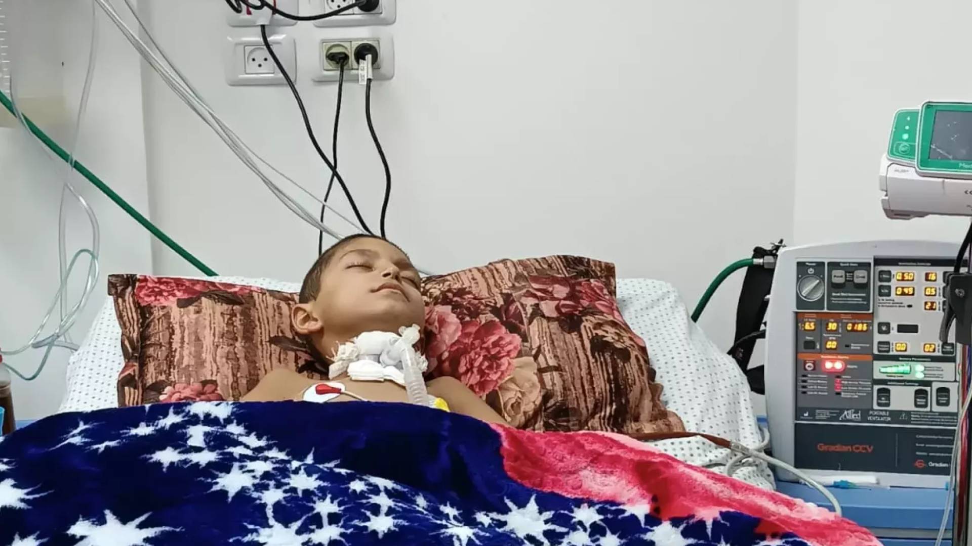 Image 1 from gallery