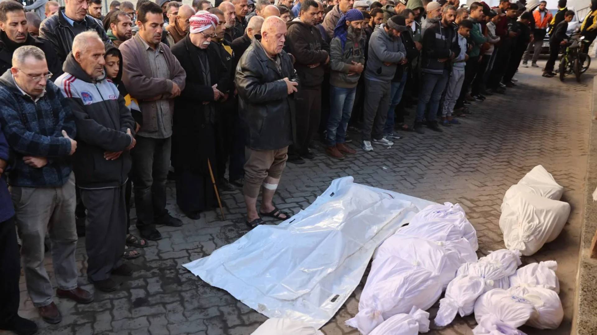 Image 1 from gallery