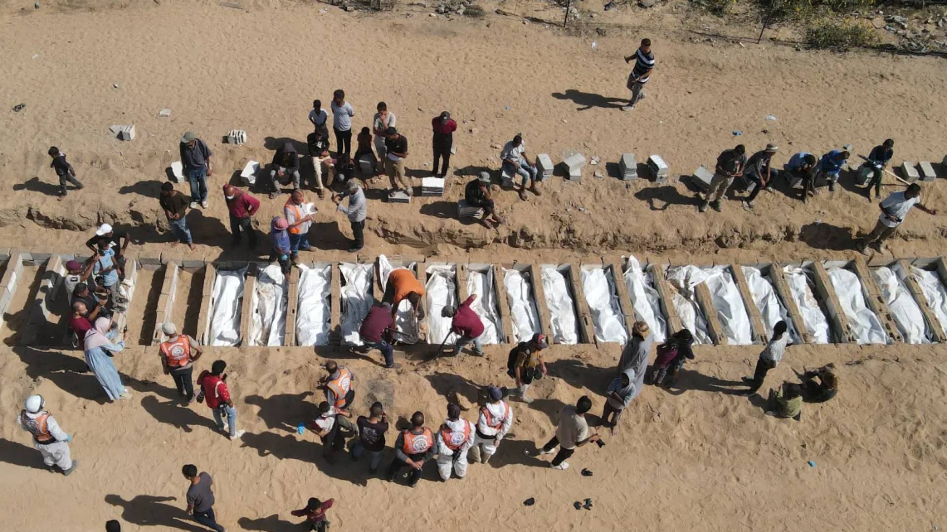 Image 1 from gallery