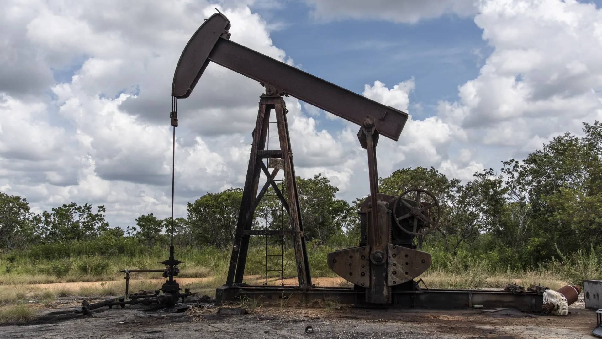 Image 1 from gallery