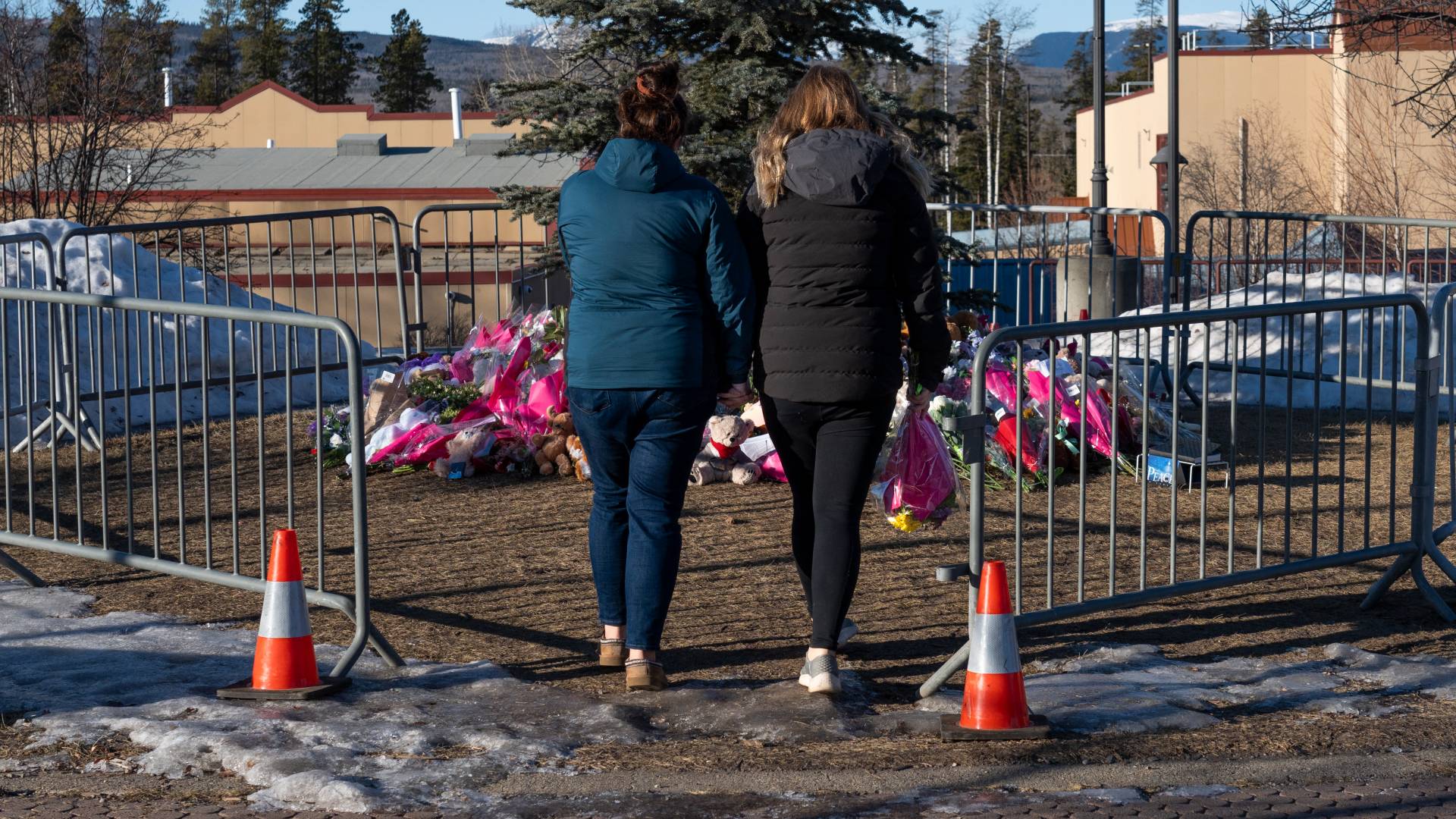 Image 1 from gallery