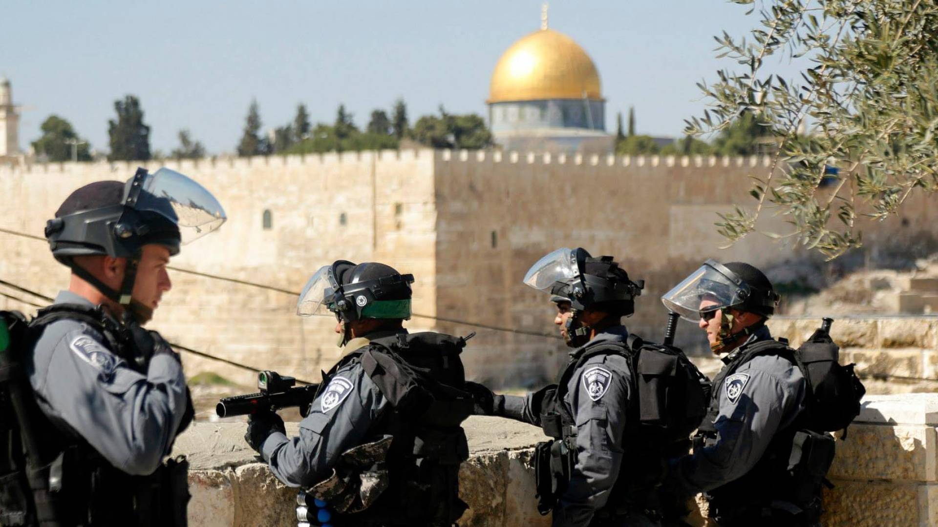 Image 1 from gallery