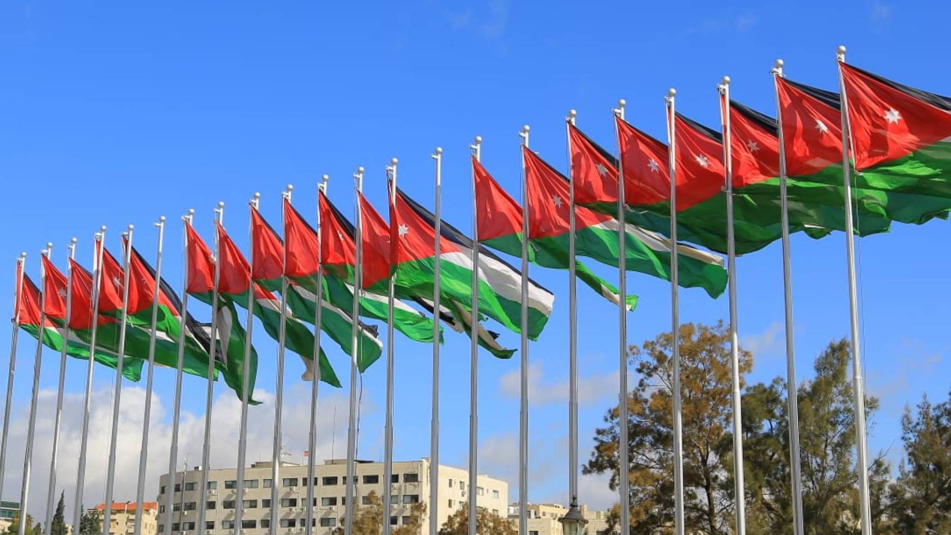 Image 1 from gallery