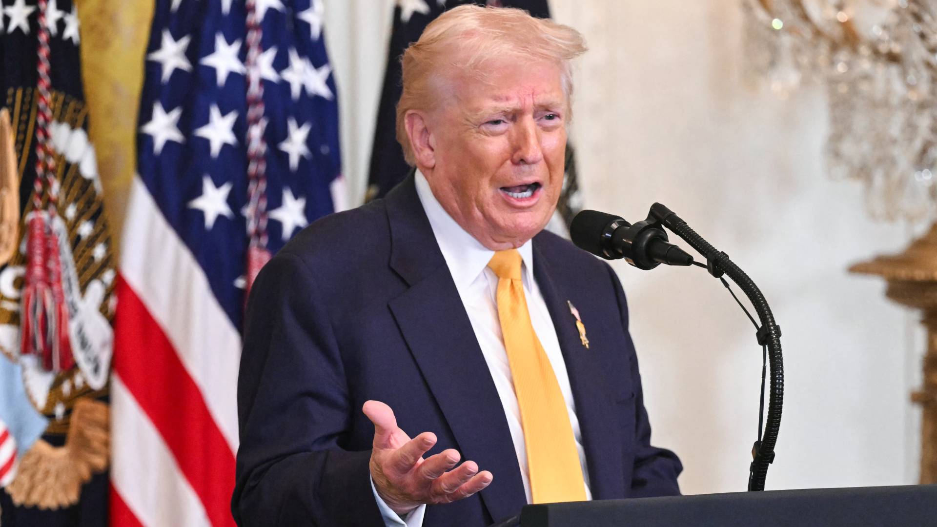 Image 1 from gallery