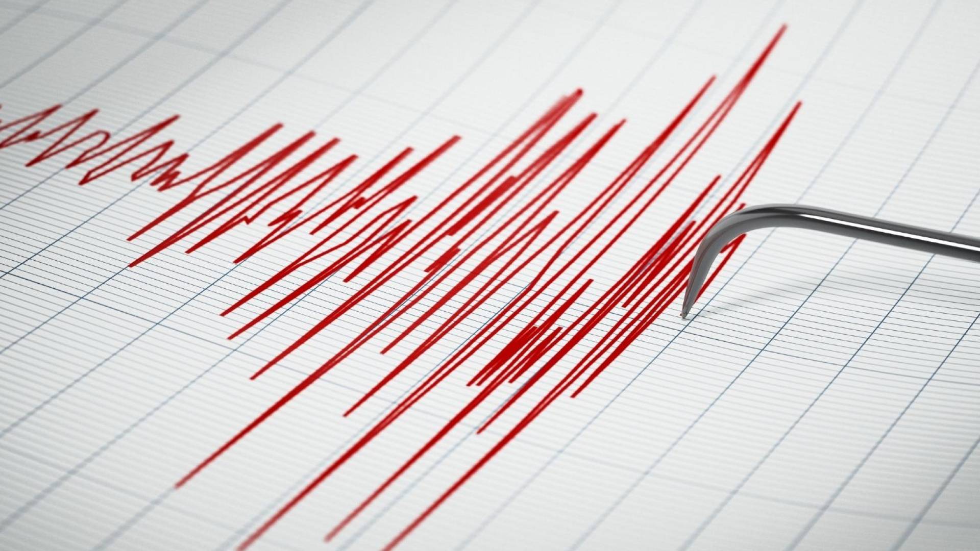 Image 1 from gallery