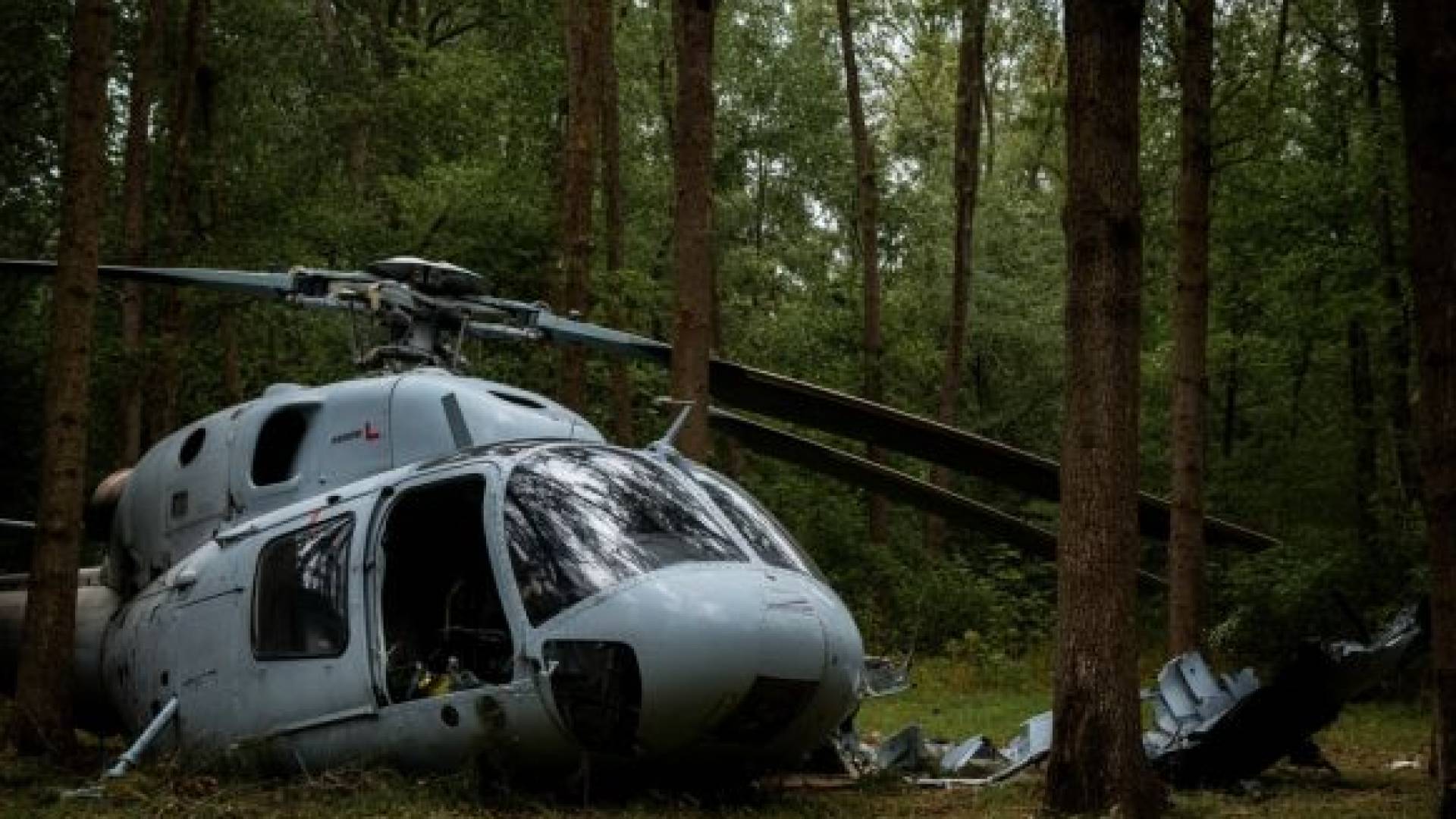 Image 1 from gallery